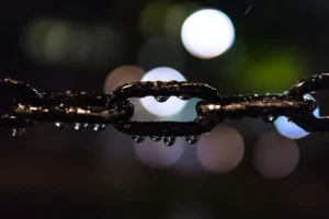 Jasa SEO Blog Terbaik: Tingkatkan Visibilitas & Traffic