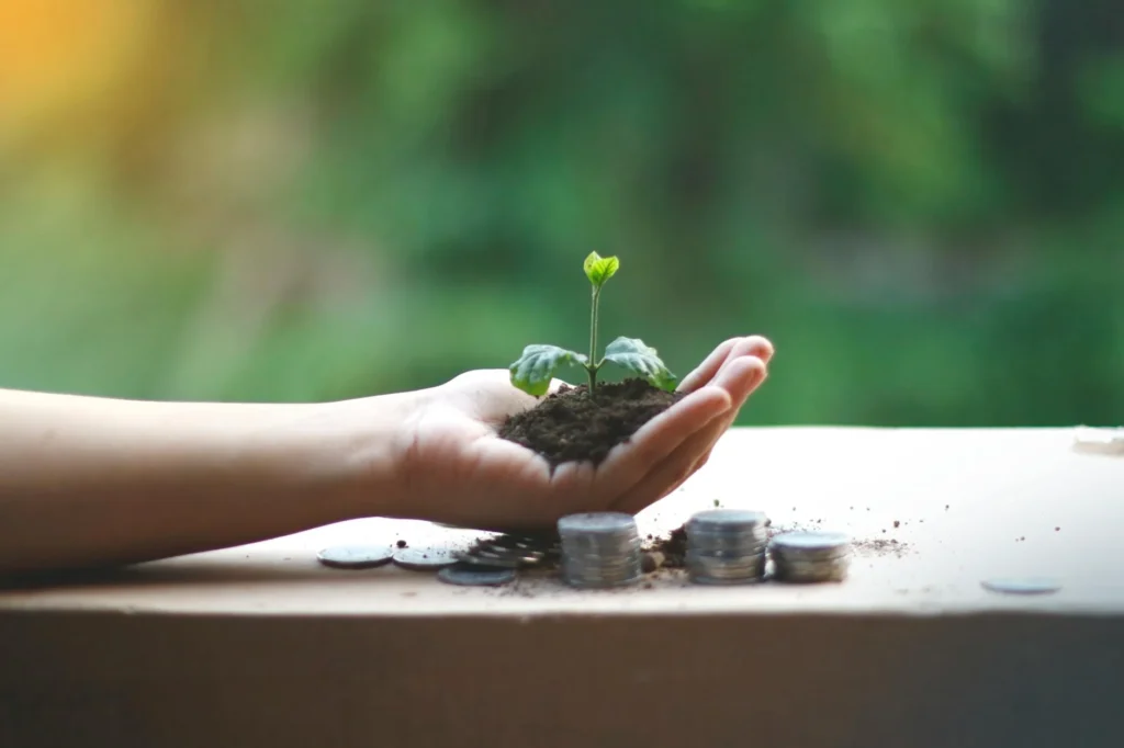 Growing Plant Financial Investment