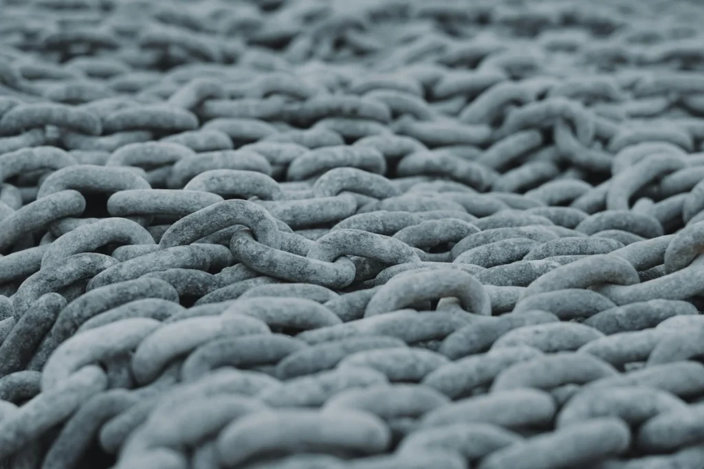 Link Building Network Connections