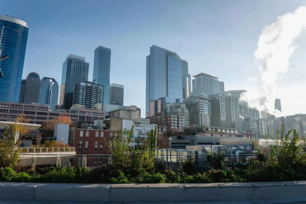 Success Story Growing Plant City Skyline