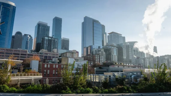 Jasa Web Jakarta Timur: Bangun Kehadiran Digital Anda